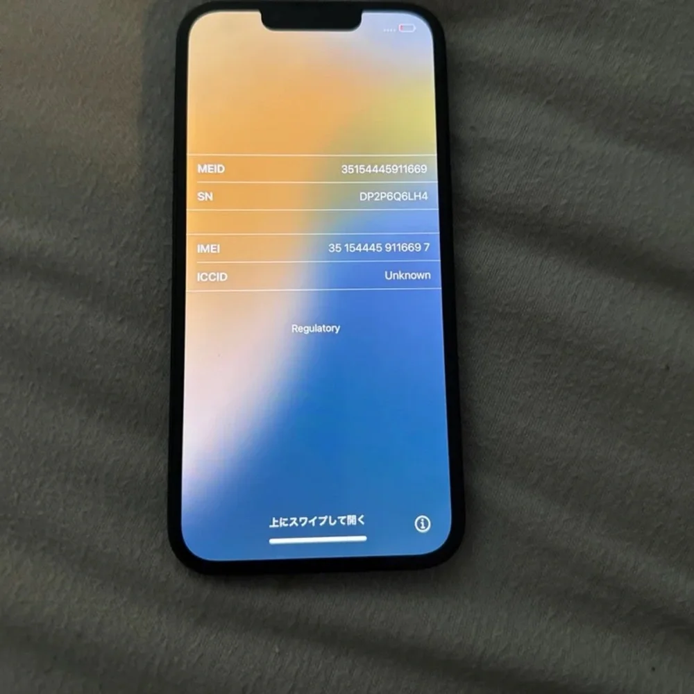 Apple iPhone in Black